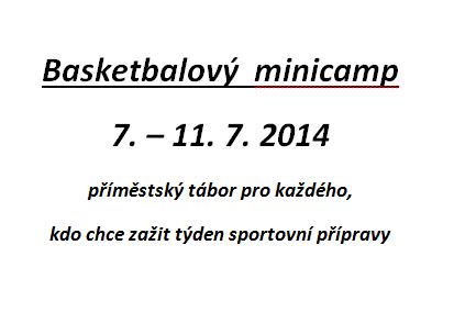 53b14a39b4ff9Minicamp 2014